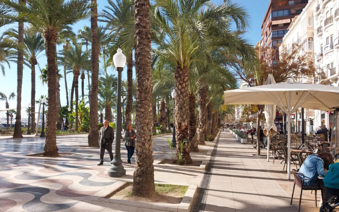 Alicante (Spanien) – Melia Spa Hotel im Dezember